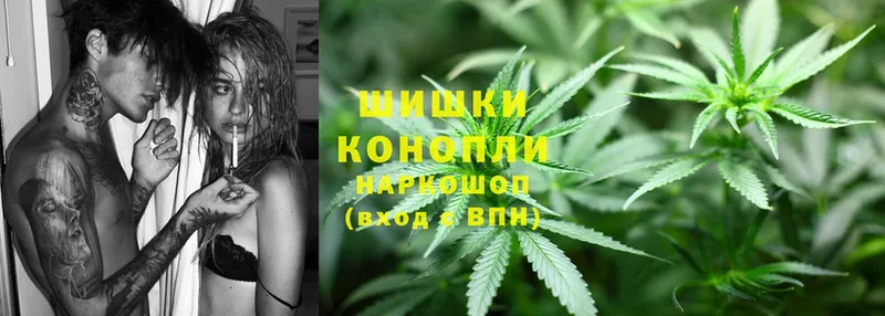 Конопля OG Kush  Октябрьский 